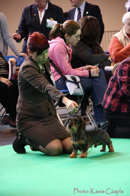 Crufts2011_2 632.jpg